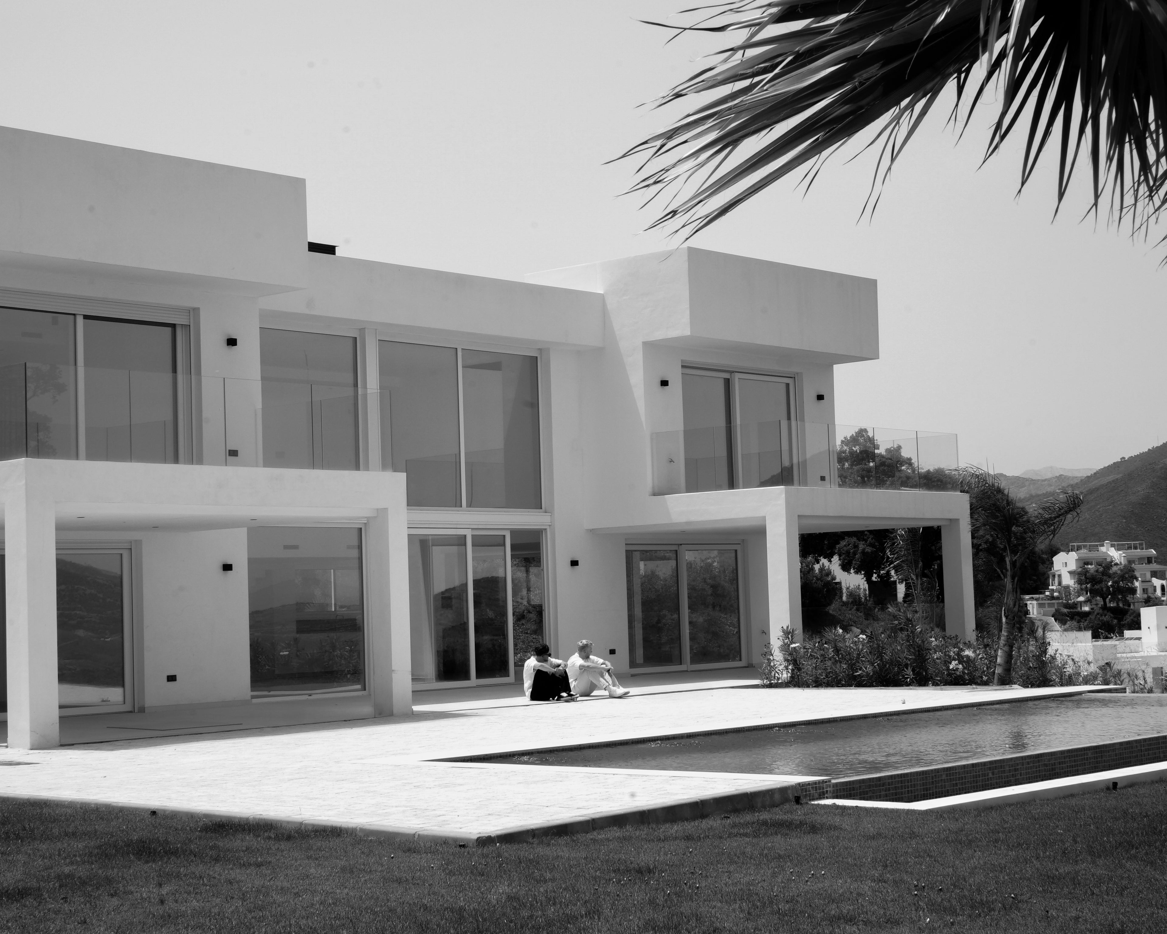 Modern house with a pool and palm tree in a black and white photo